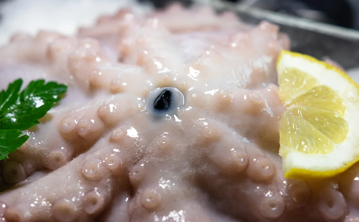 Fresh seafood detail on ice