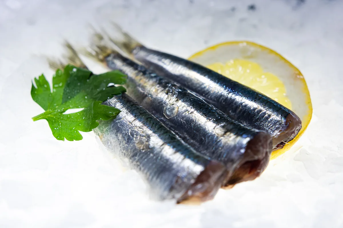 Fish and seafood assortment on ice