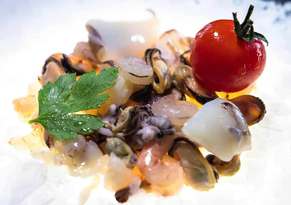 Professional seafood assortment on ice